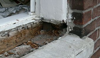 houtrot vuren kozijn